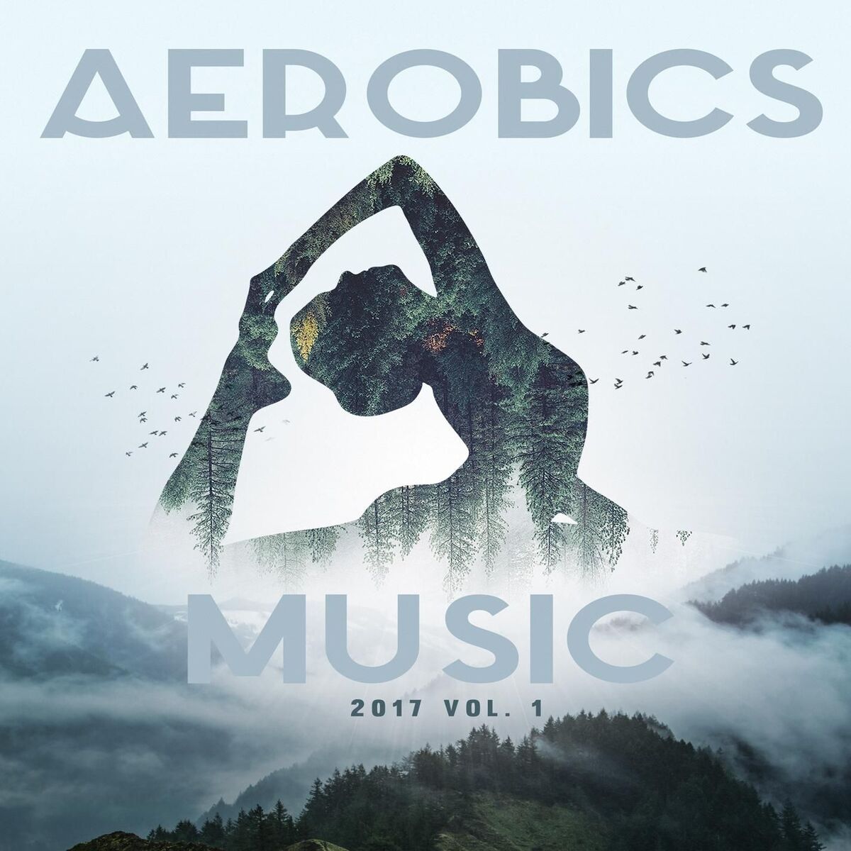 Album cover of Aerobics Music 2017 Vol. 1