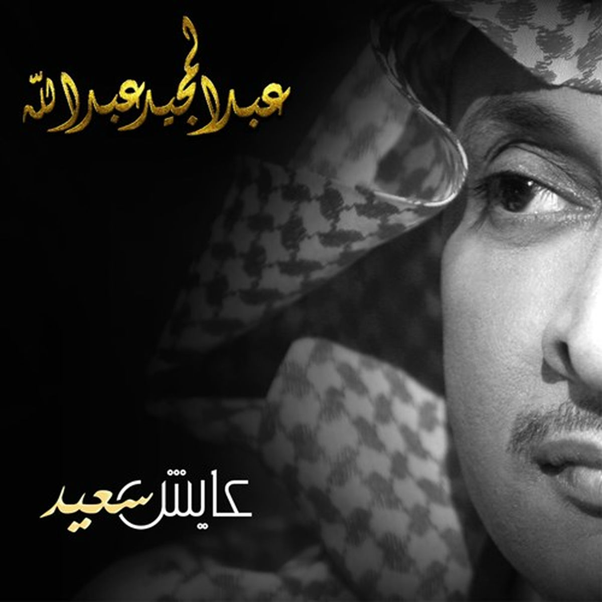 Album cover of Aayesh Saeed