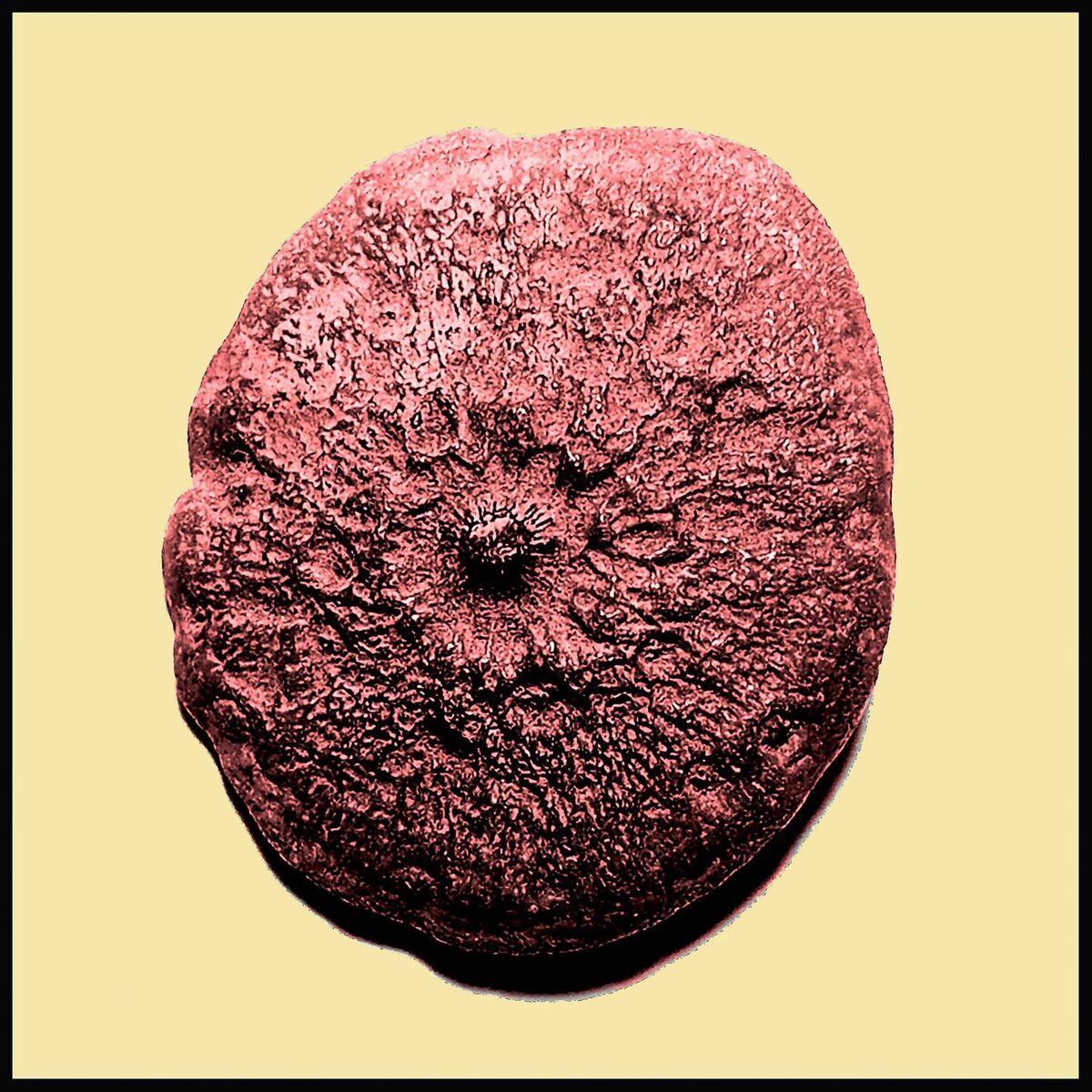 Album cover of Todas Las Estrellas