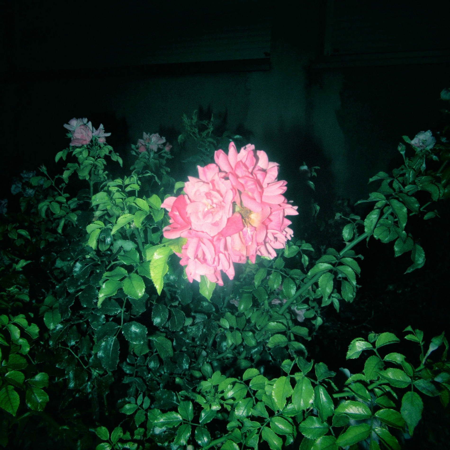Album cover of WAV.