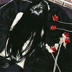 Cover of see the dark