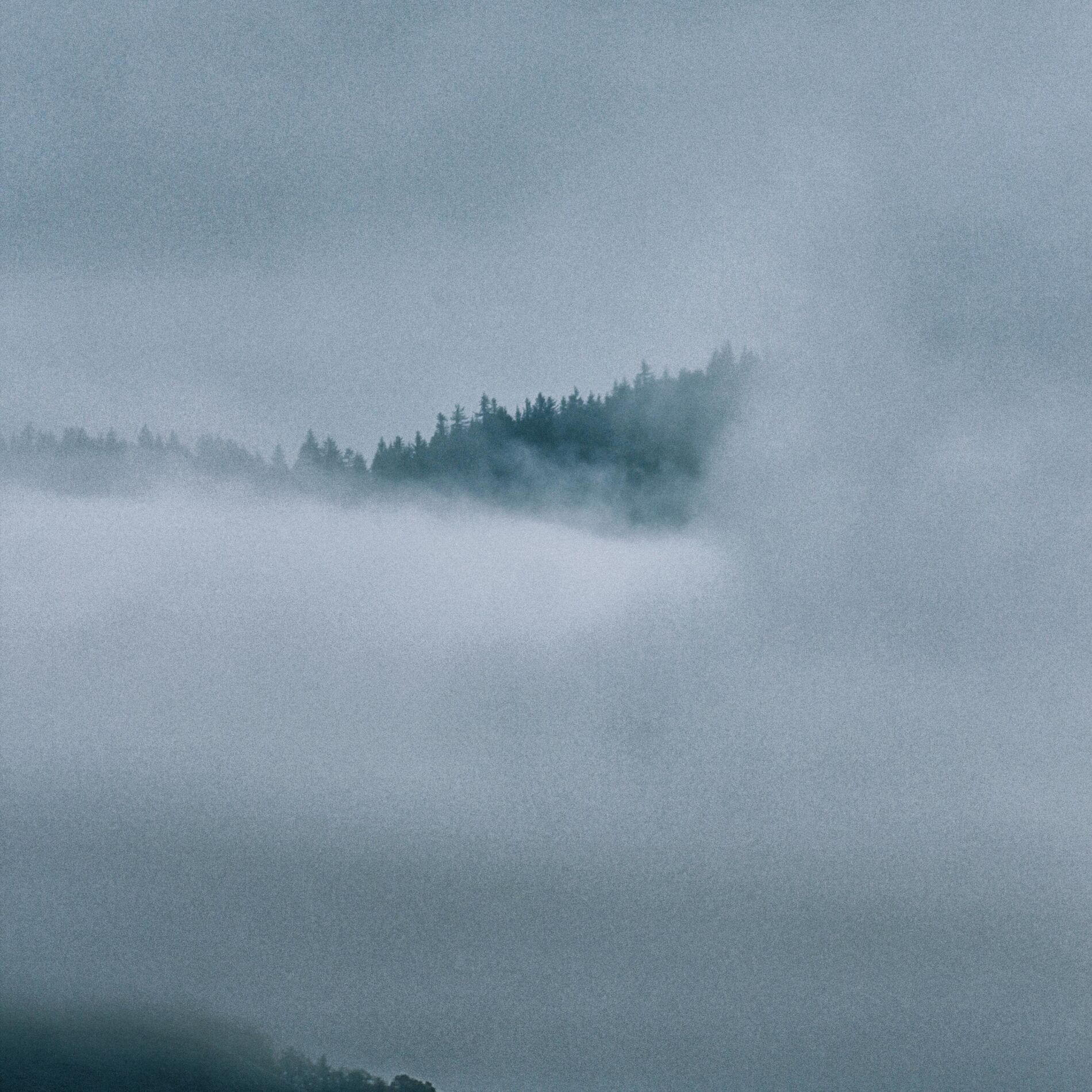 Album cover of The Distance