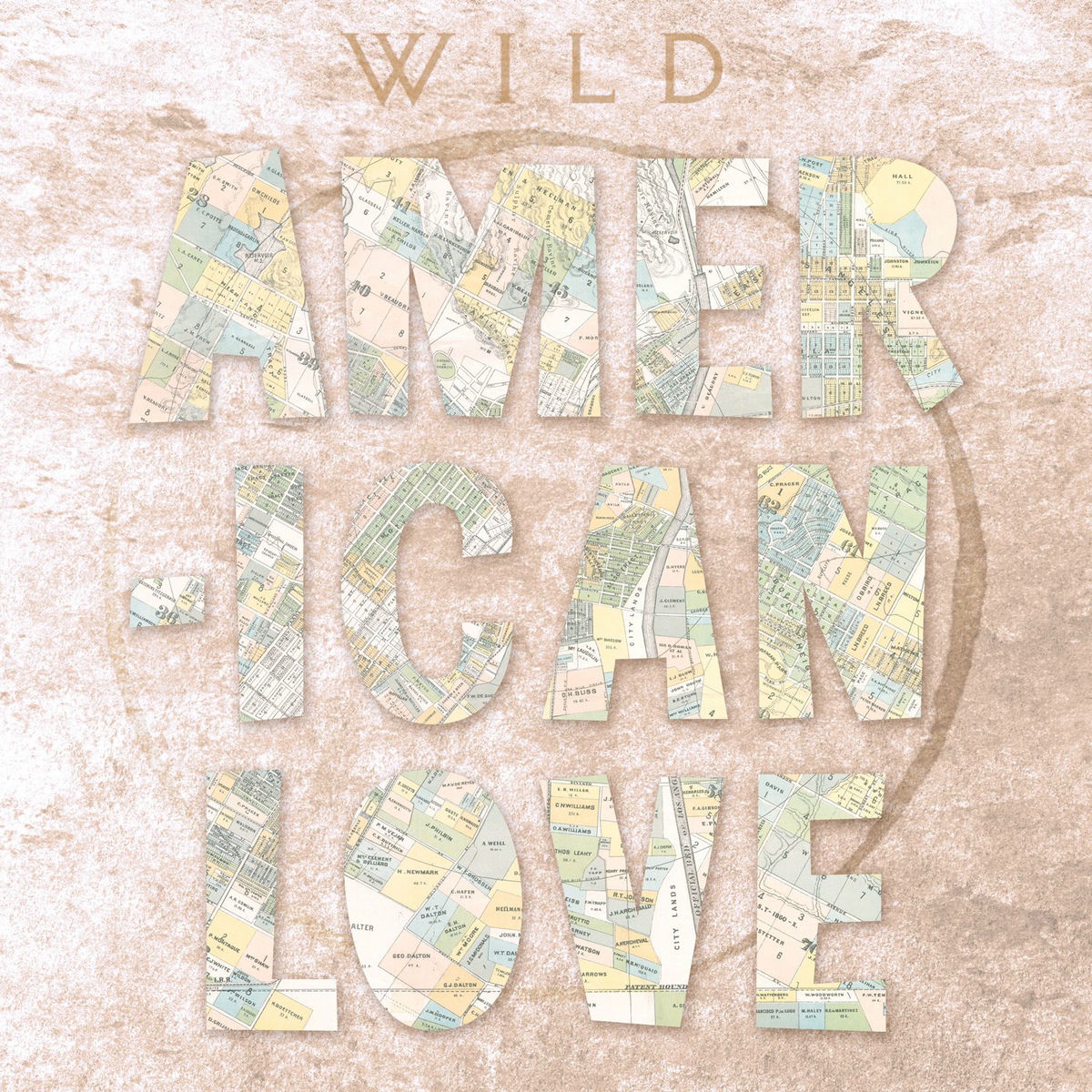 Album cover of American Love