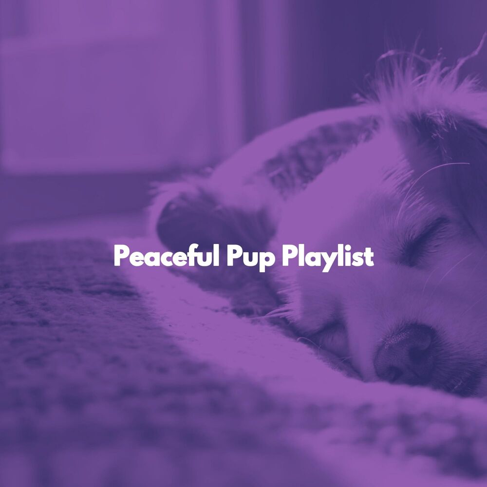 Picture of Peaceful Pup Playlist