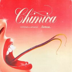 Cover of Chimica