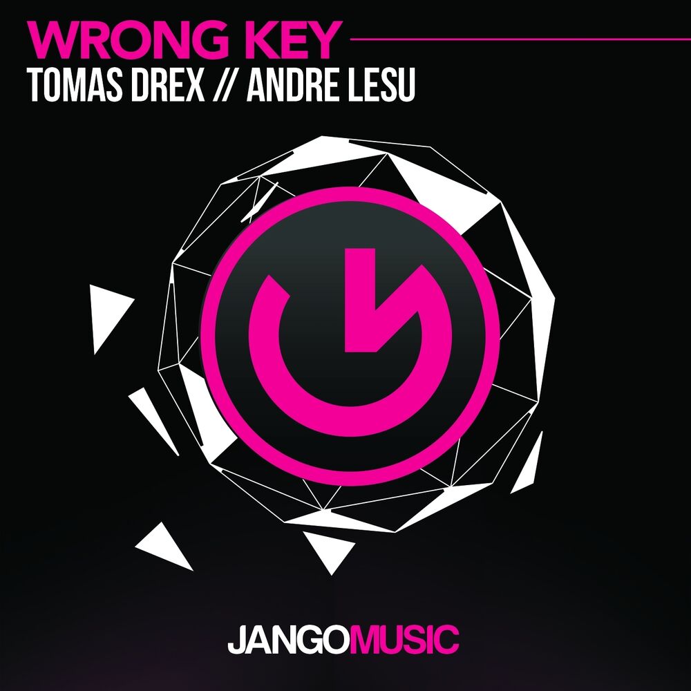 Picture of Wrong Key