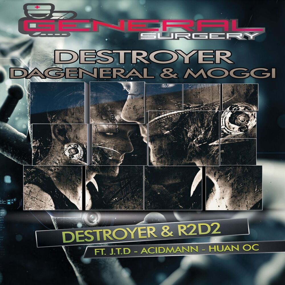 Picture of Destroyer