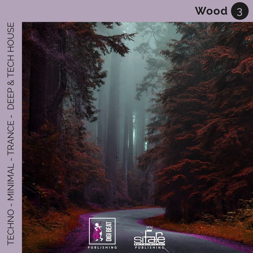 Picture of Wood 3 (Techno Minimal Trance Deep and Tech House Remix)