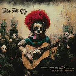 Cover of Mutant Dreams and Face Transplants: An Acoustic Experience