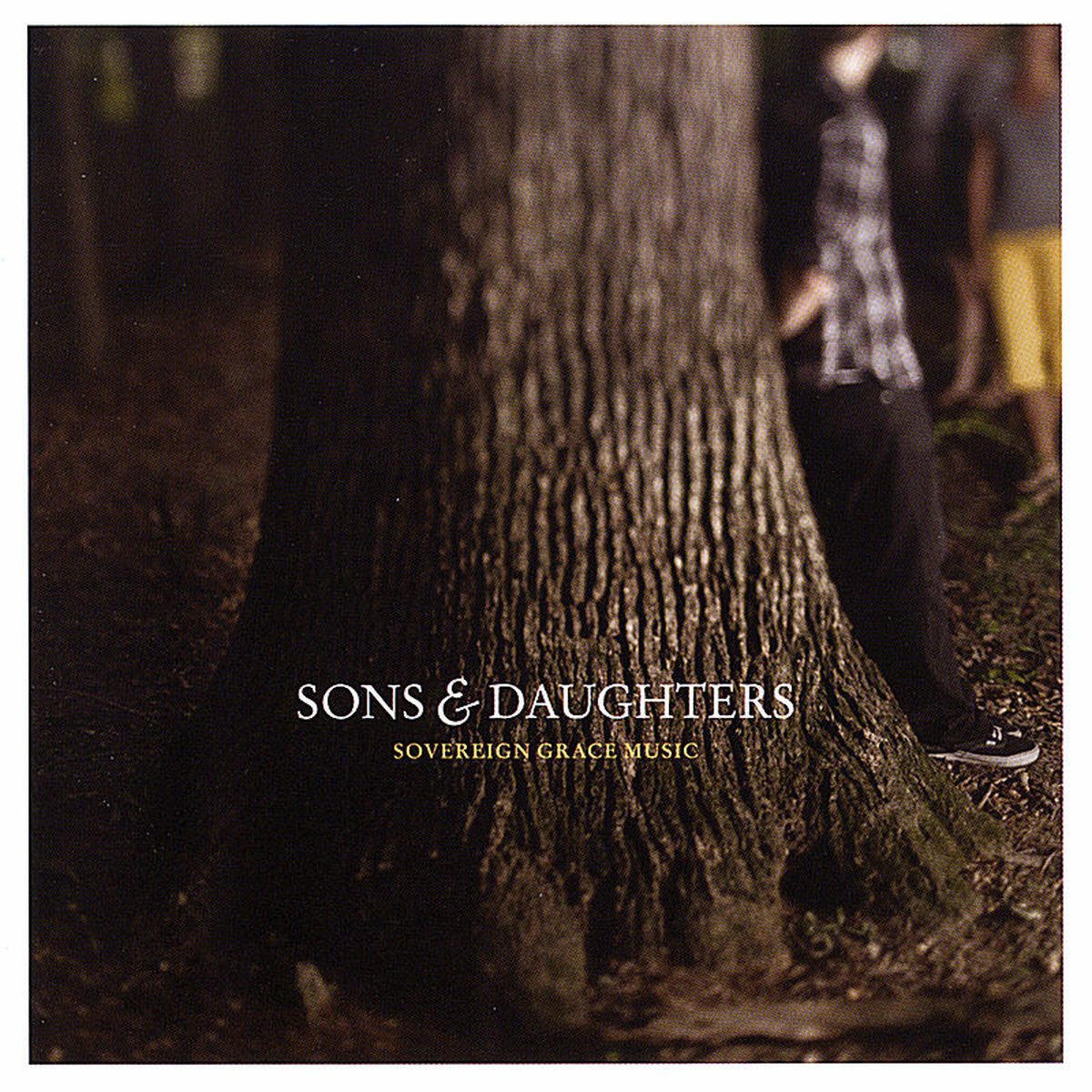 Album cover of Sons & Daughters