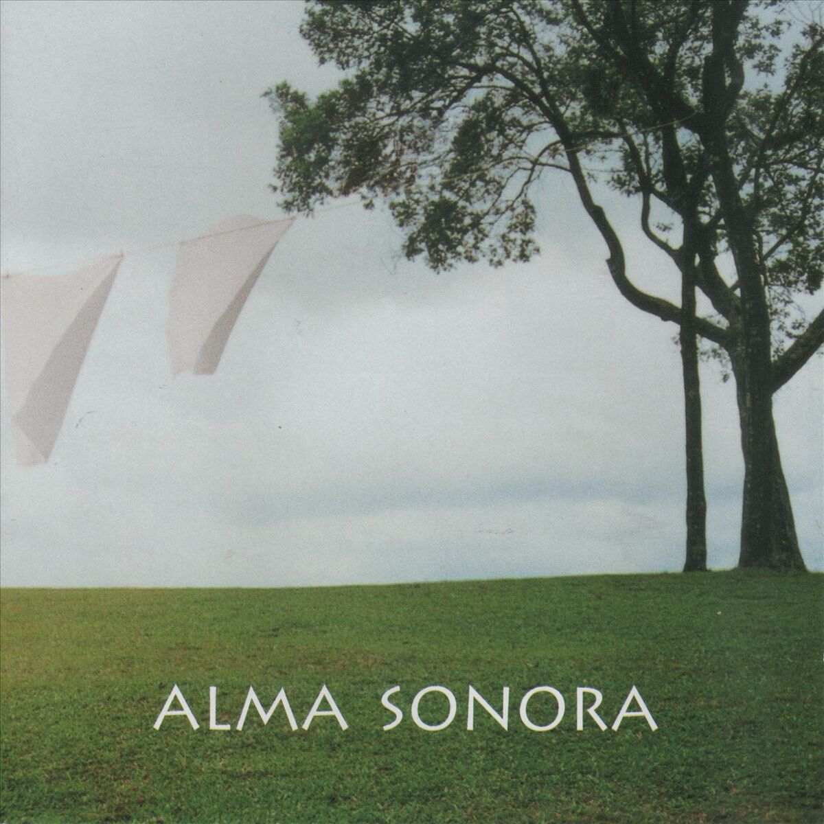Album cover of Alma Sonora