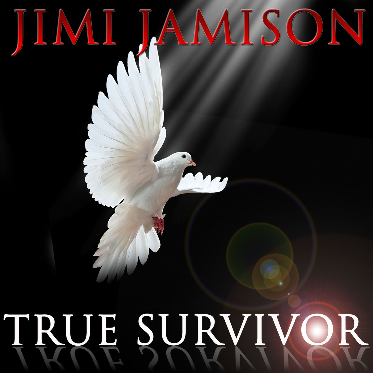 Album cover of True Survivor