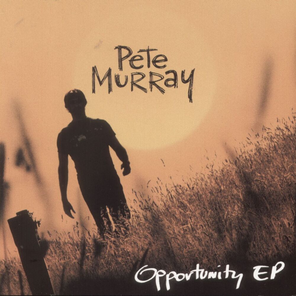Picture of Opportunity