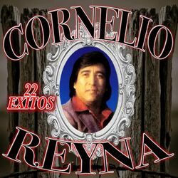 Cover of 22 Éxitos