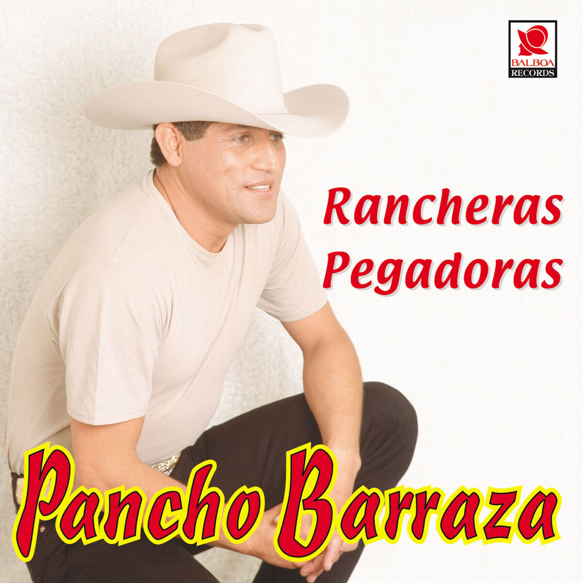 Album cover of Rancheras Pegadoras
