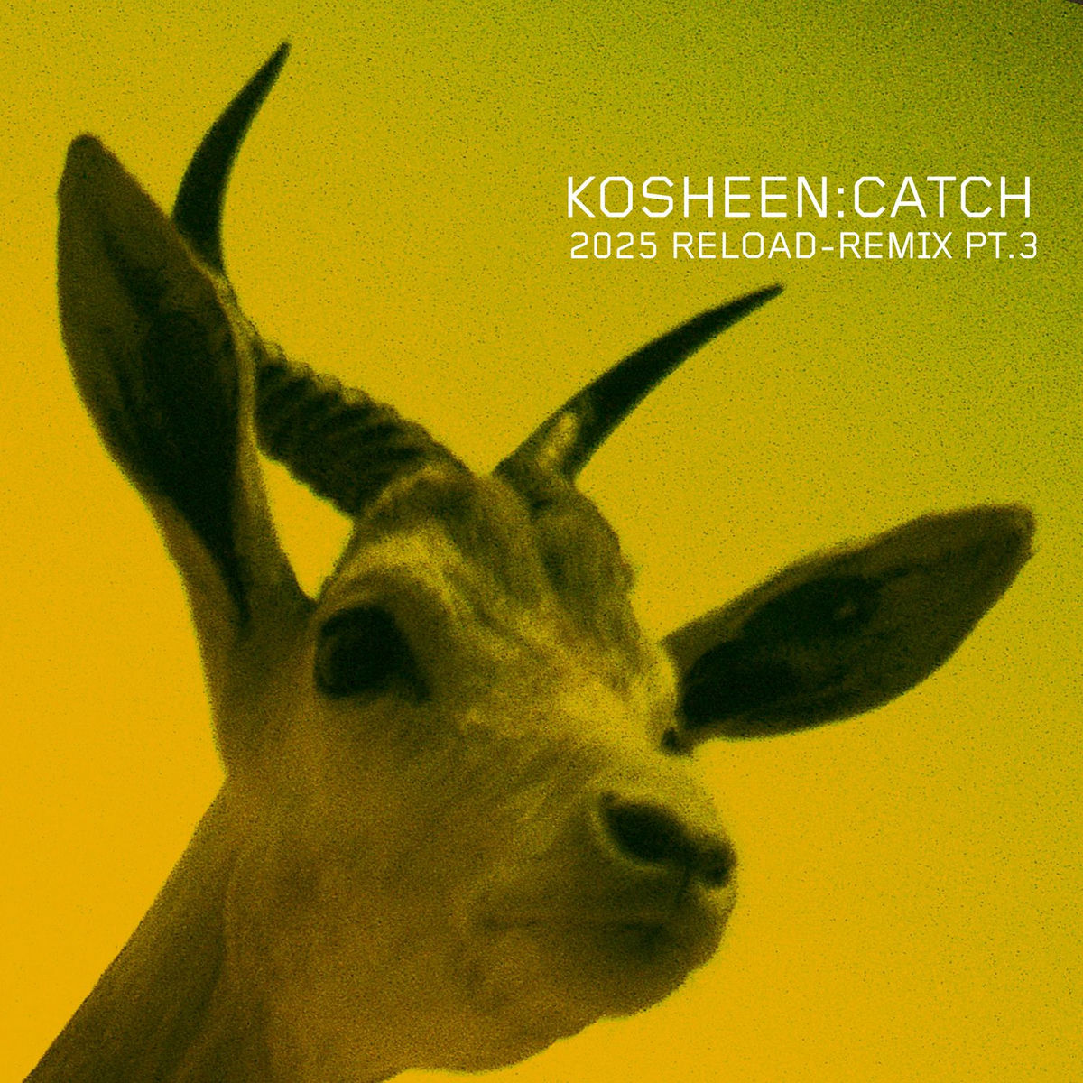 Album cover of Catch (2025 Reload-Remix, Pt.3)