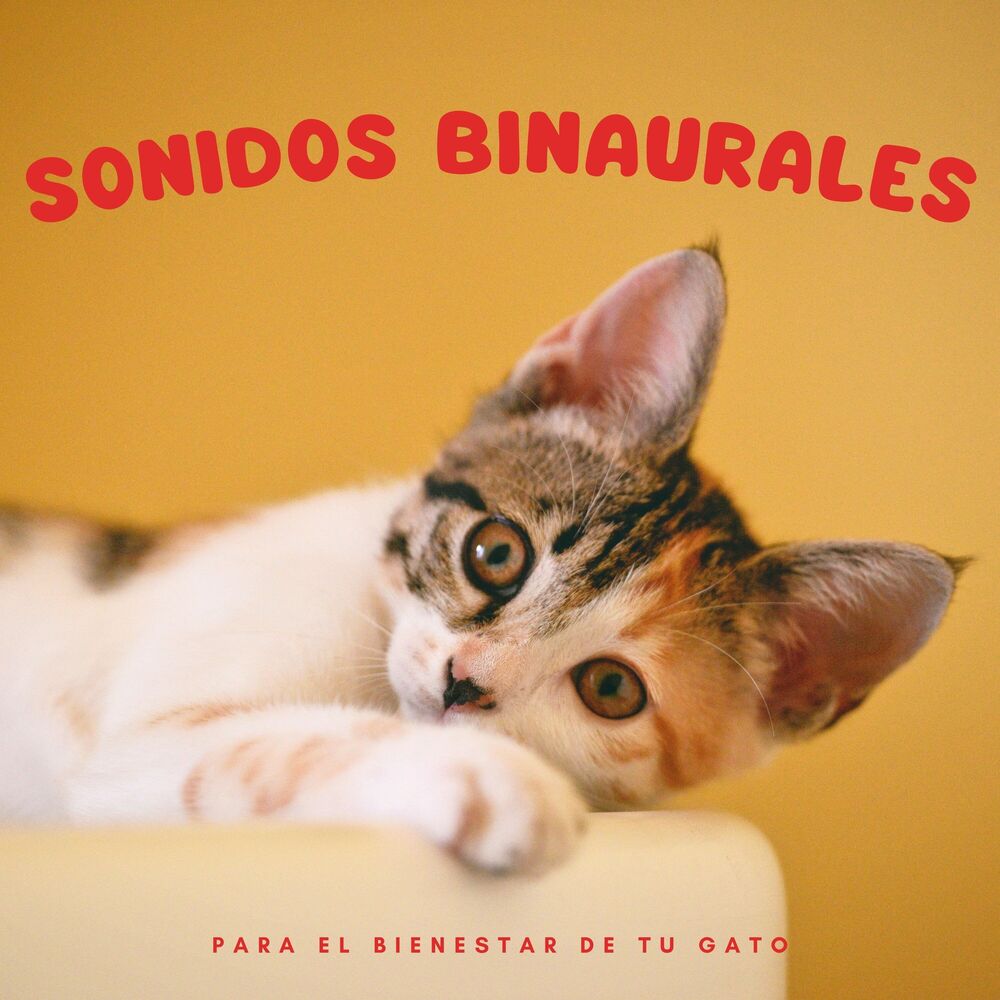 Picture of Sonidos Binaurales Para El Bienestar De Tu Gato