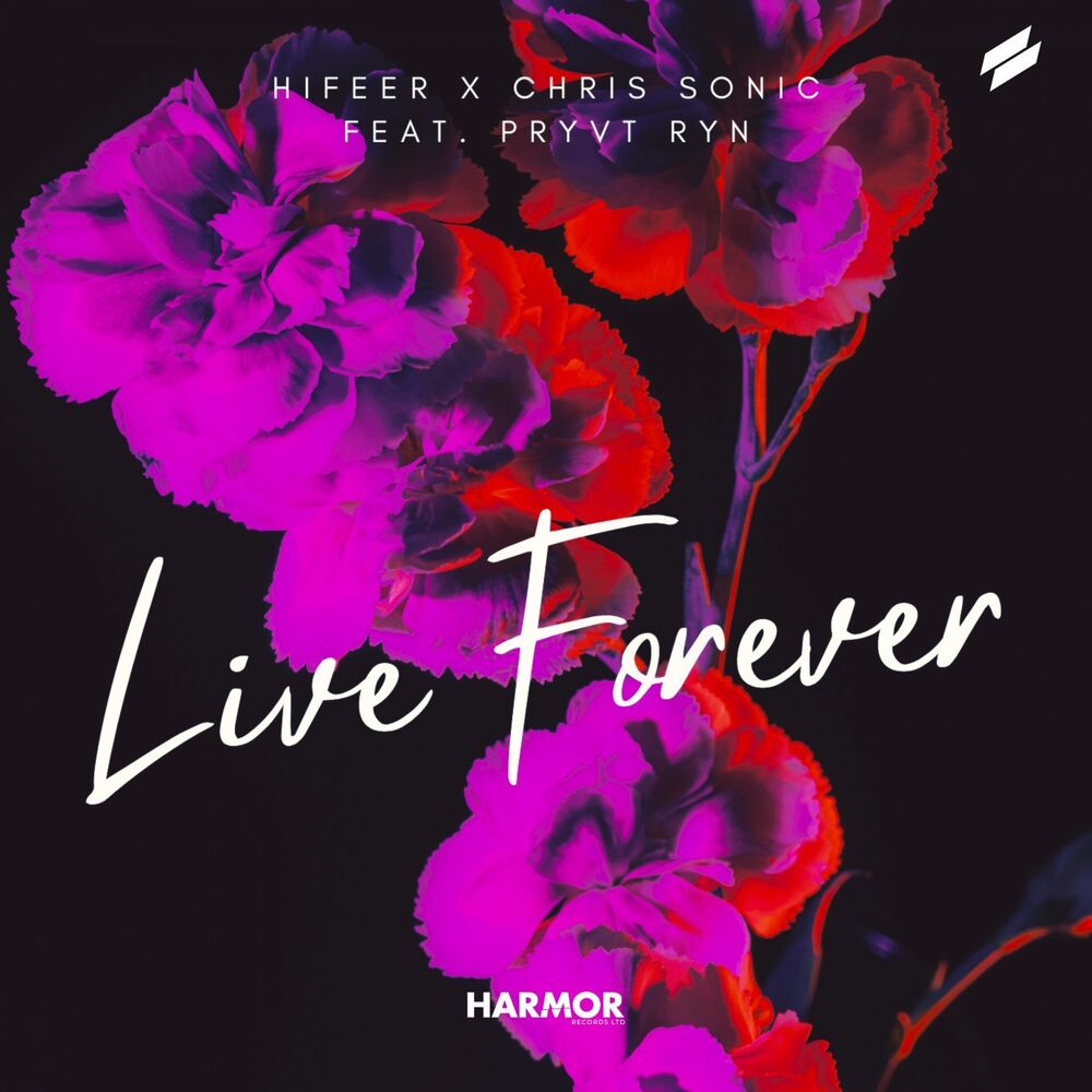 Picture of Live Forever
