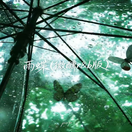 雨蝶 (微醺R&B版)