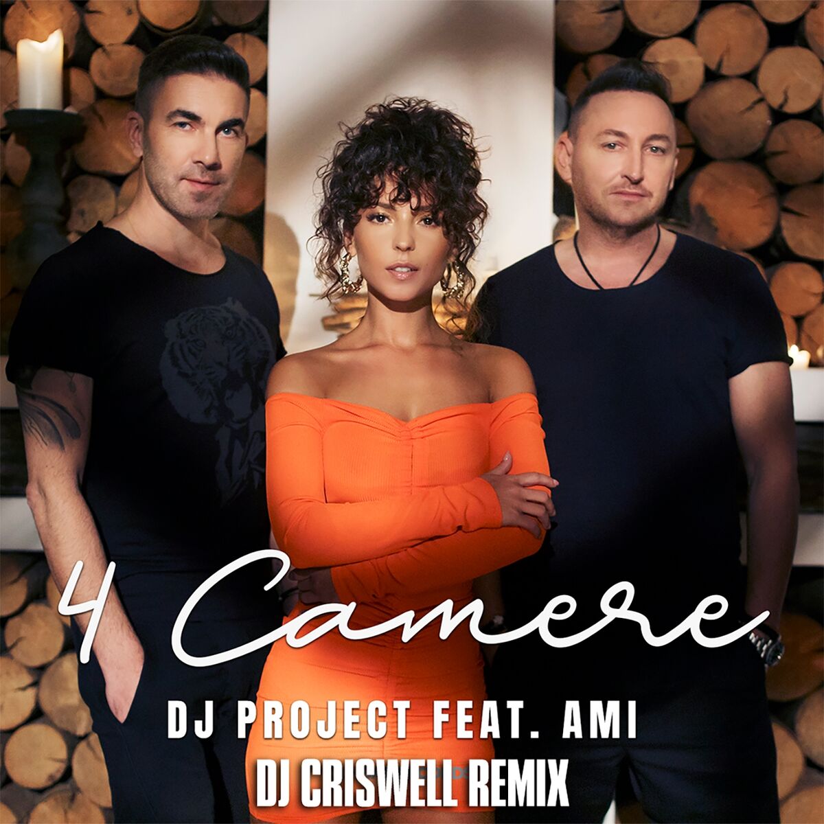 Album cover of 4 Camere (DJ Criswell Remix)