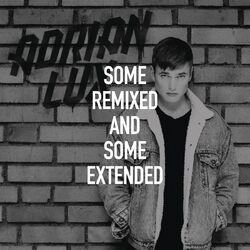 Cover of Some Remixed and Some Extended
