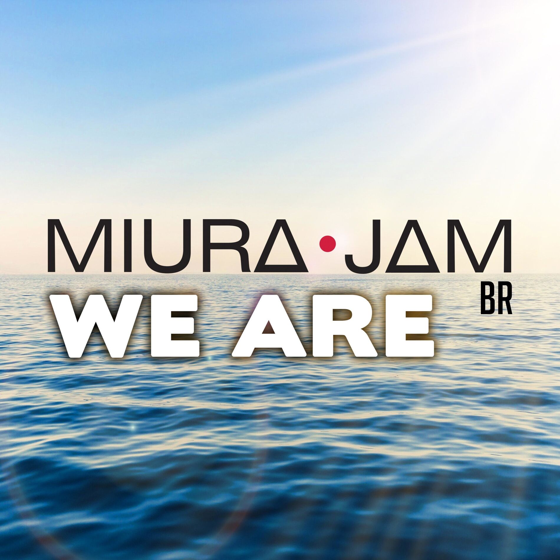 Album cover of We Are (One Piece)