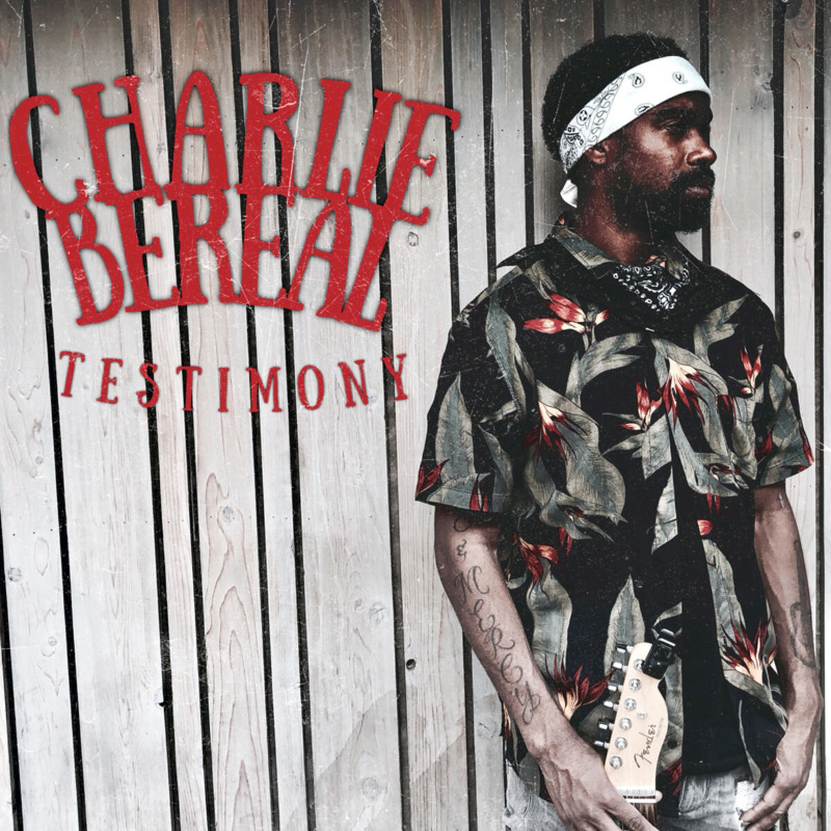 Album cover of Testimony
