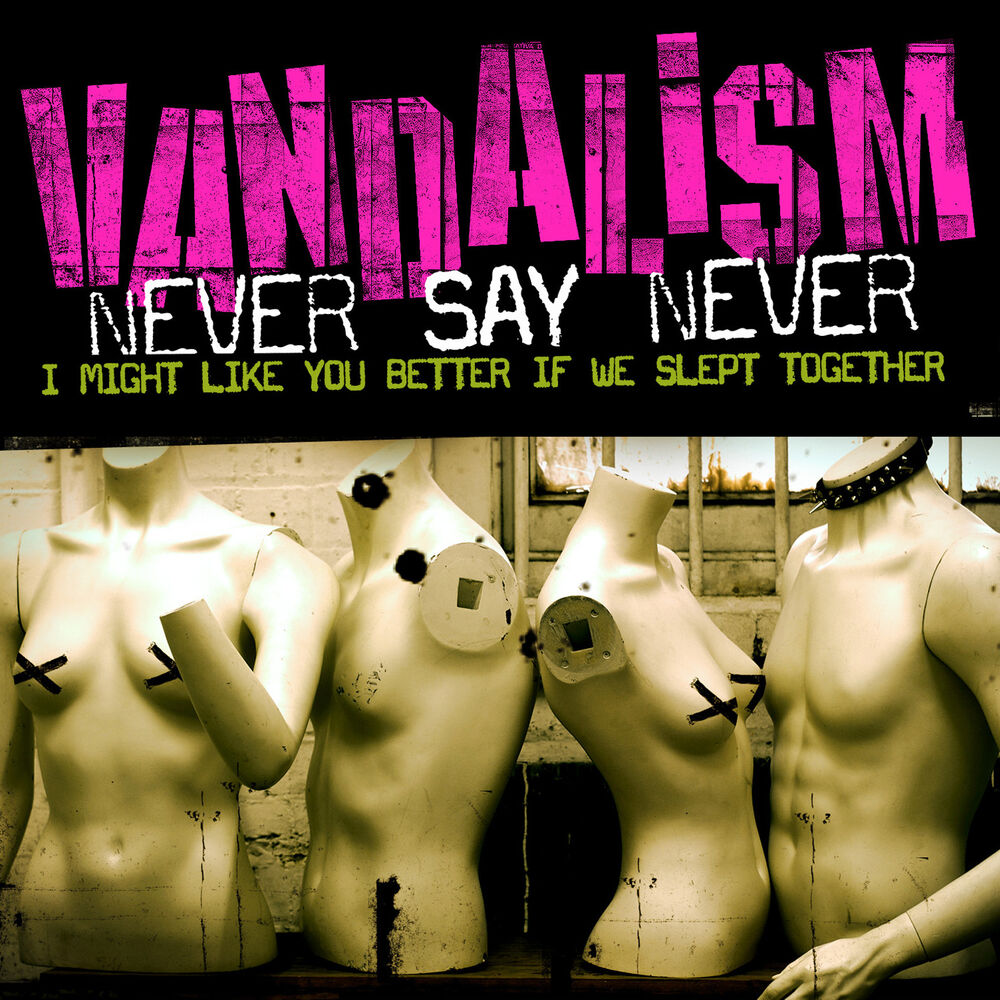 Picture of Never Say Never