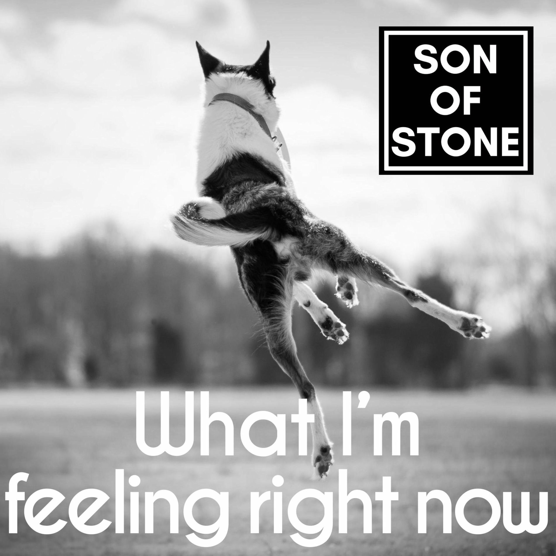 Album cover of What I'm feeling right now