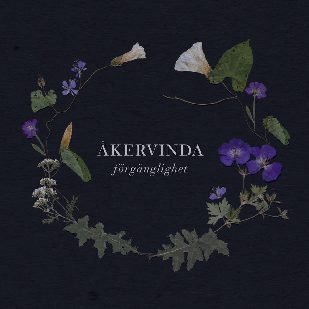 Album artwork for Vatten by Åkervinda