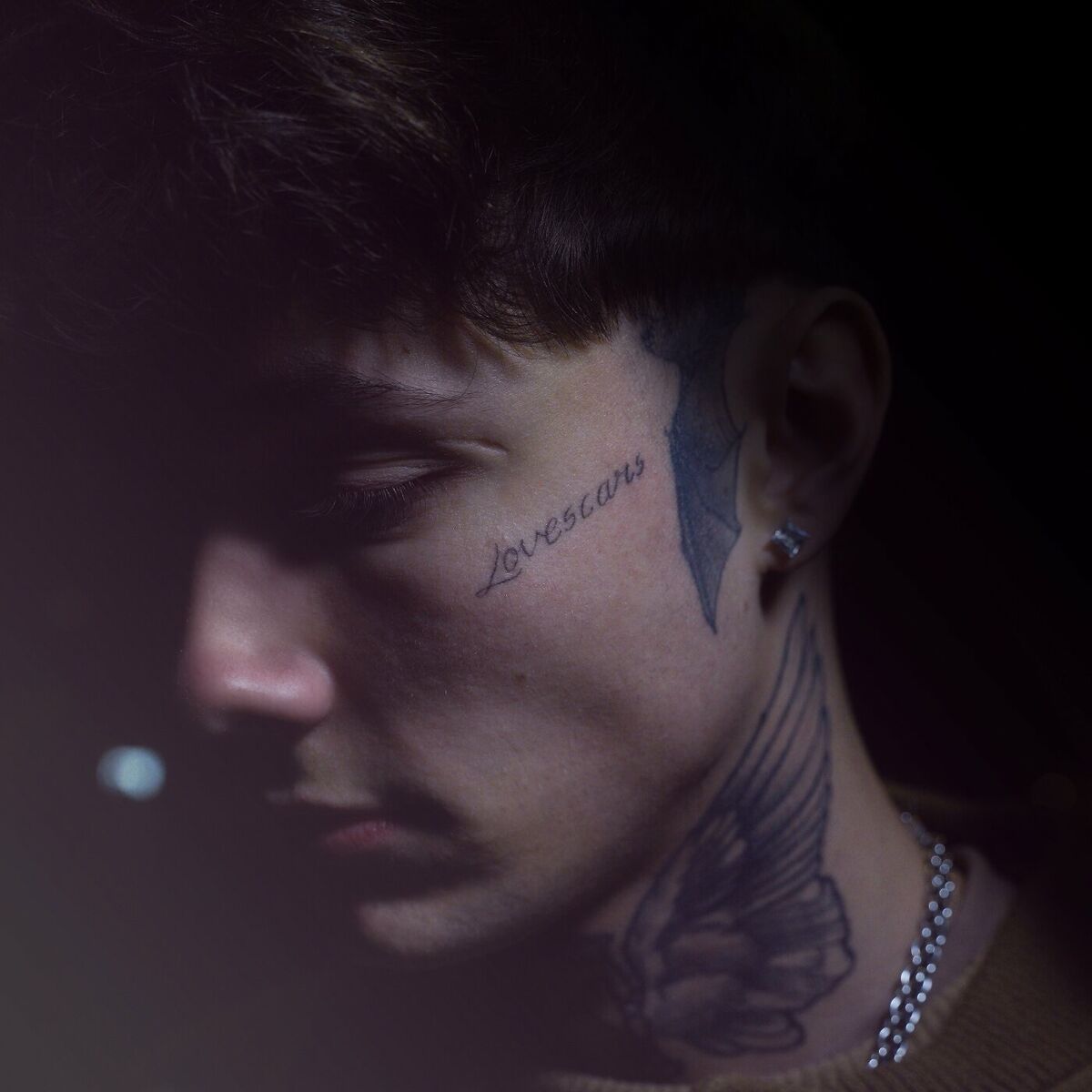 Album cover of Lovescars