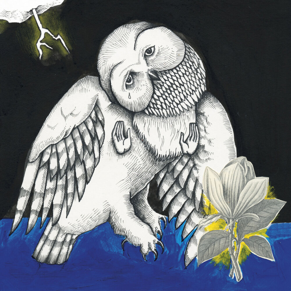 Picture of Magnolia Electric Co. (Deluxe Edition)