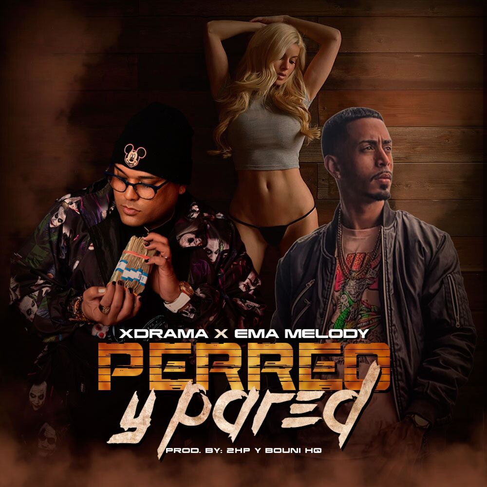 Picture of Perreo y Pared