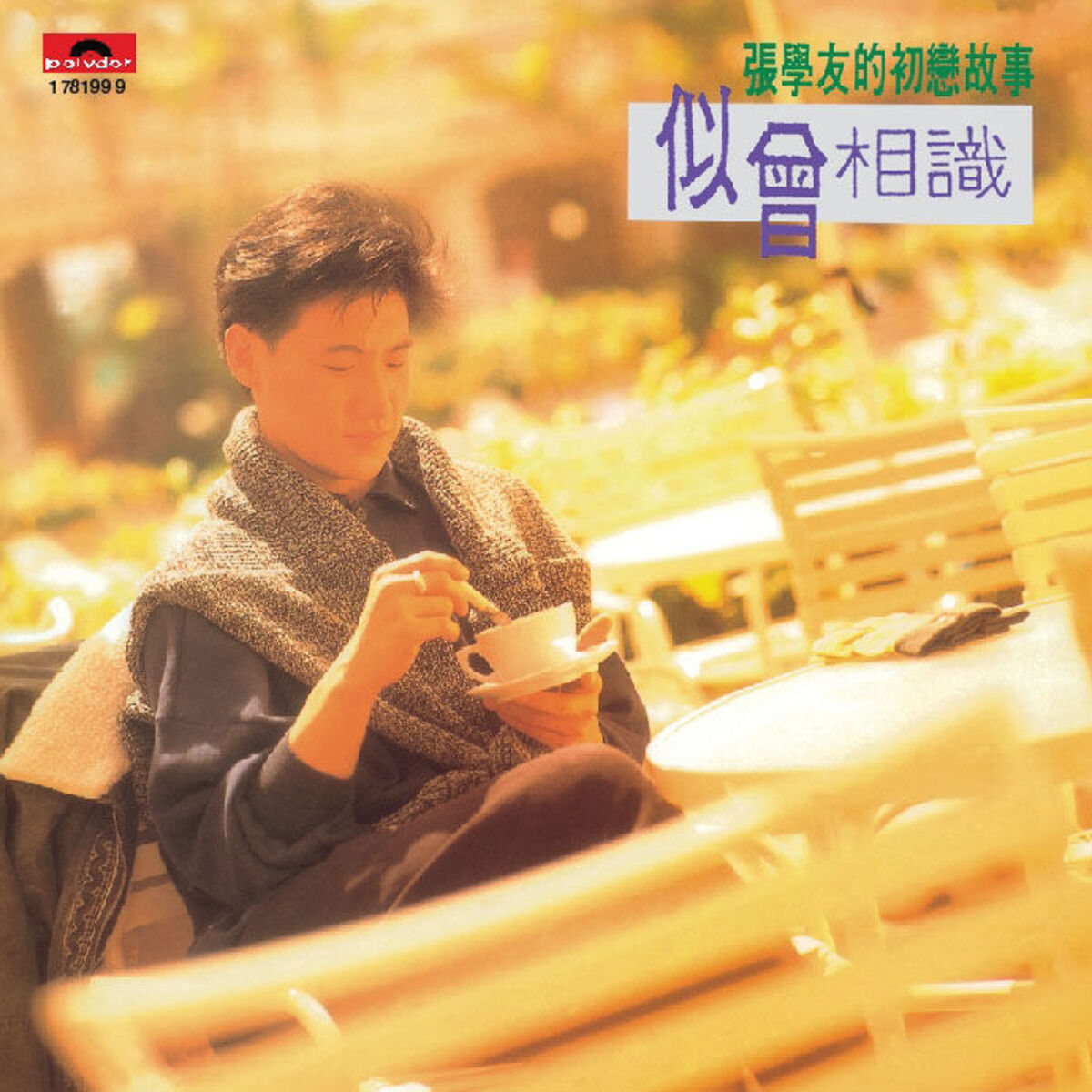Album cover of 似曾相識-張學友