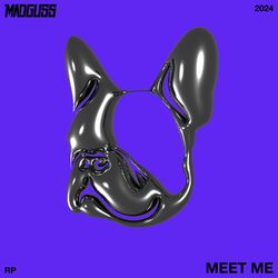Cover of Meet Me