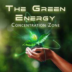 Cover of The Green Energy Concentration Zone