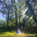 The Wizard