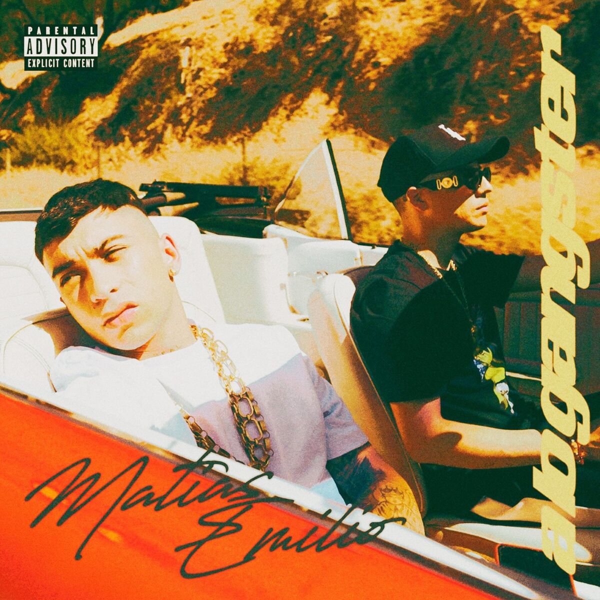 Album cover of A Lo Gangster