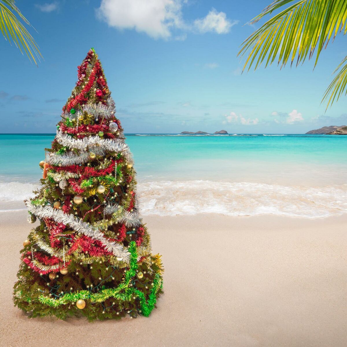 Album cover of christmas at the beach vibes