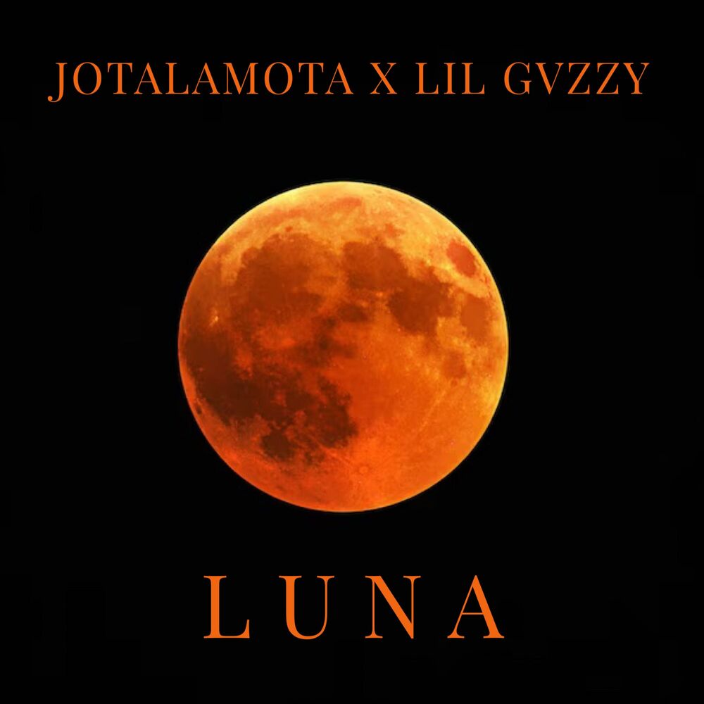 Picture of LUNA (feat. Lil Gvzzy)