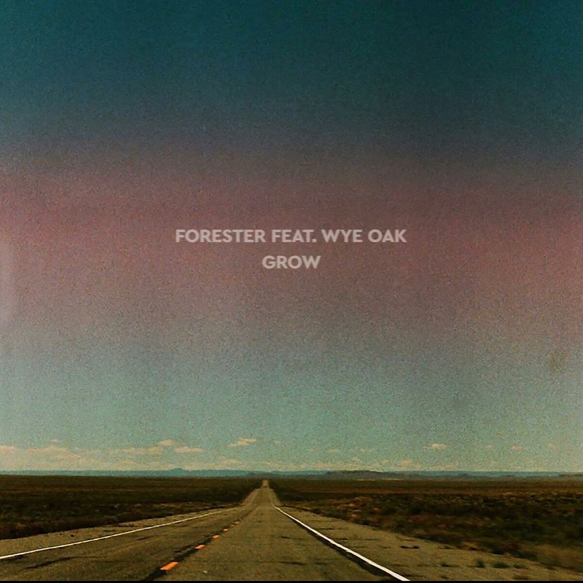 Album cover of Grow (feat. Wye Oak)