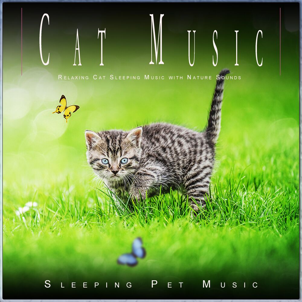 Picture of Cat Music: Relaxing Cat Sleeping Music with Nature Sounds