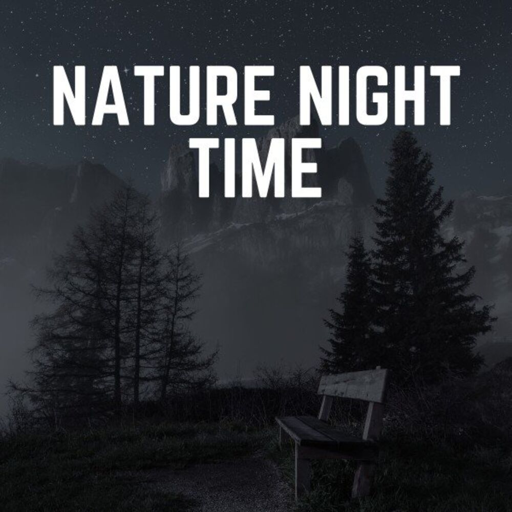 Picture of Nature Night Time