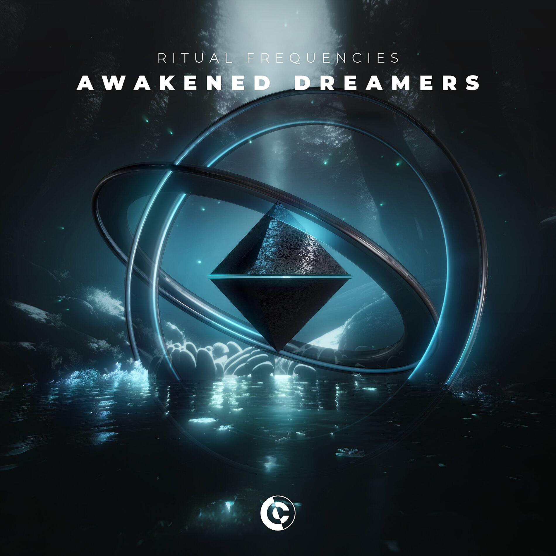 Album cover of Awakened Dreamers