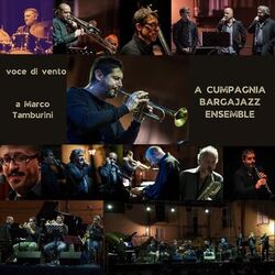 Cover of Voce di Vento