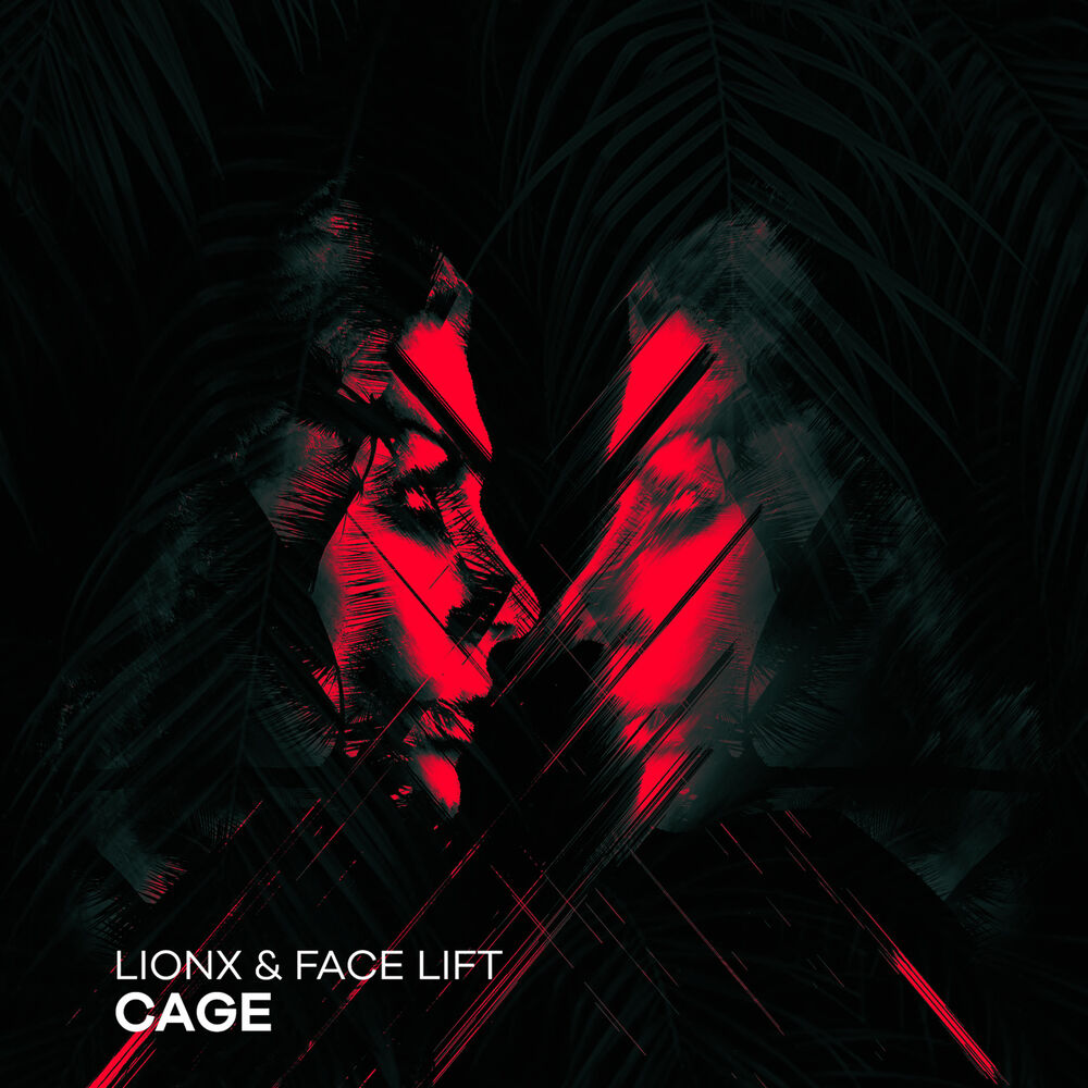 Picture of Cage