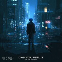 Cover of Can You Feel It
