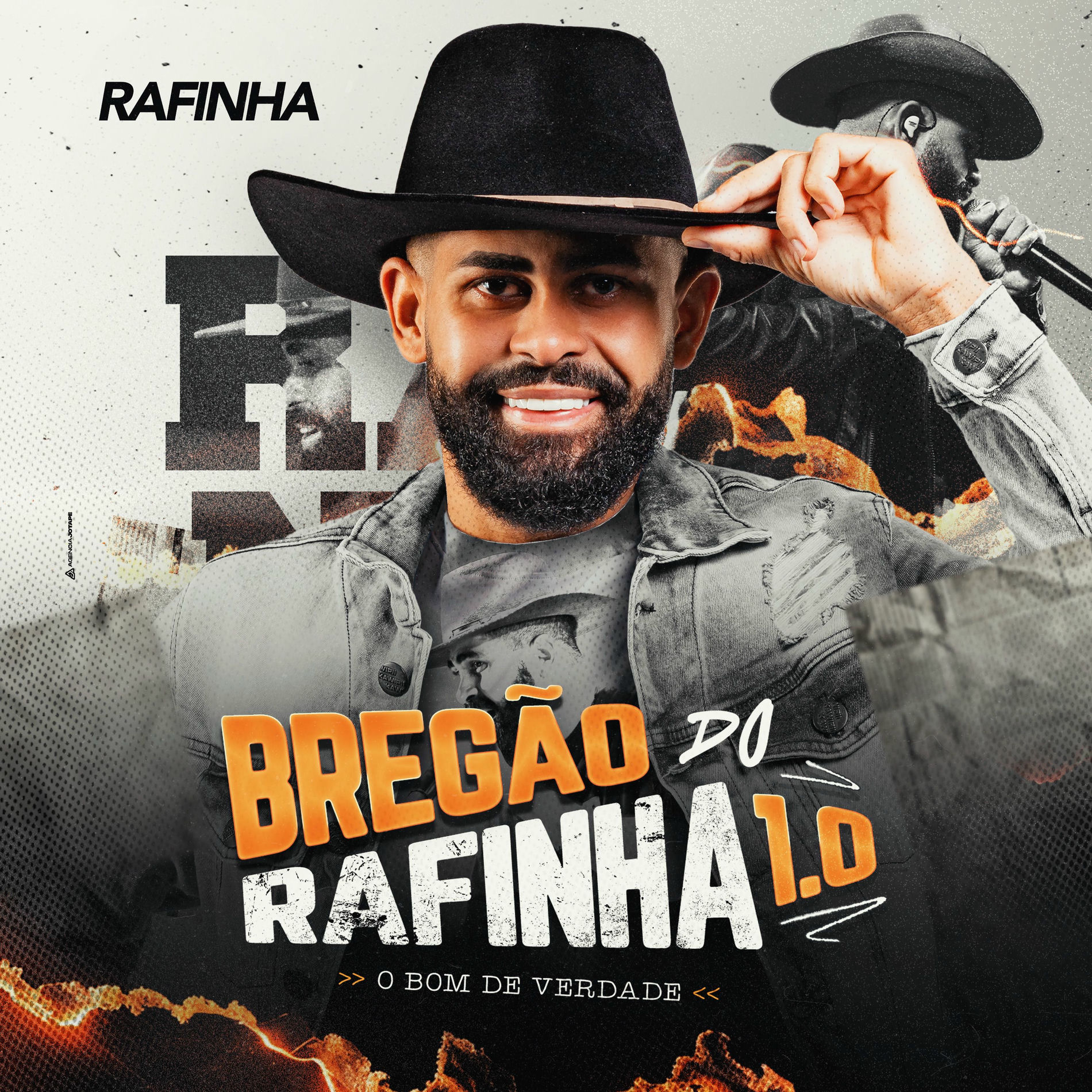 Album cover of Erro Planejado