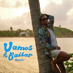 Cover of Vamos A Bailar