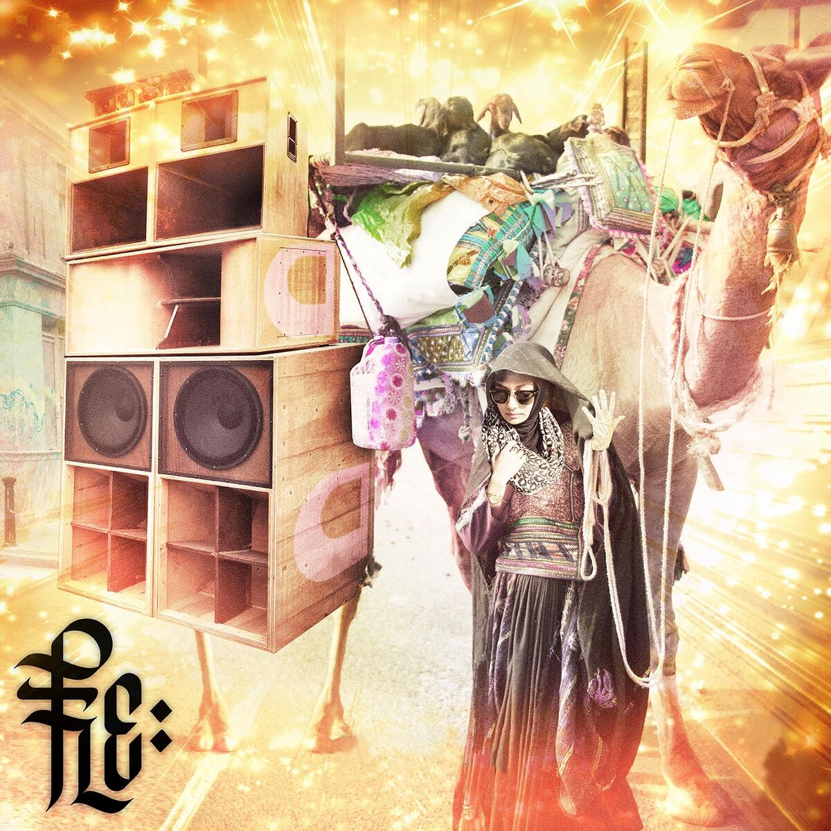 Album cover of Flechette